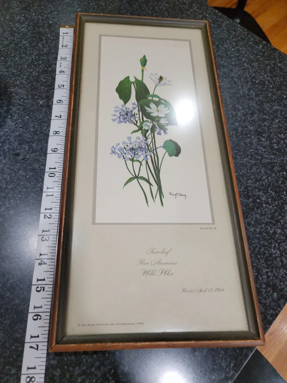 N/A elegant framed